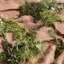 ◳ main (jpg) → (ořez 215*215px)